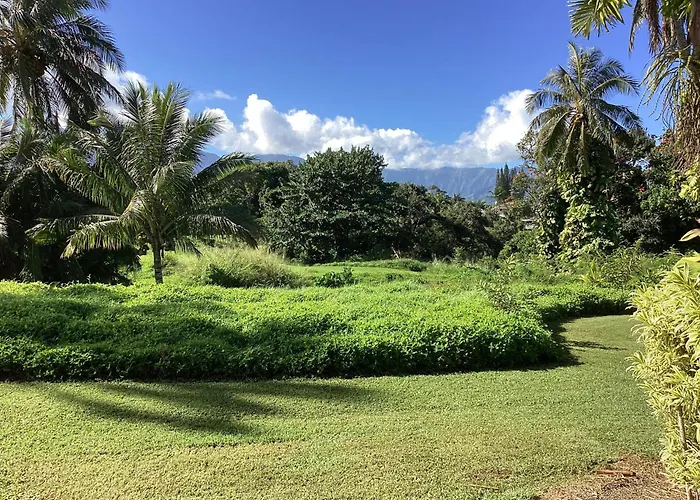 Alii Kai II 10A